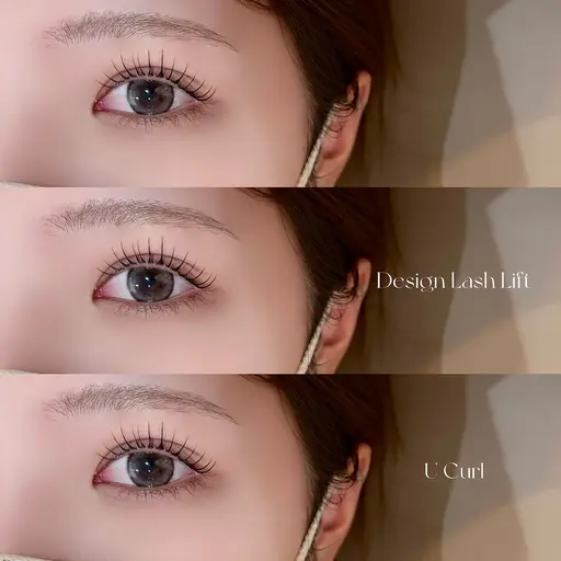 【明日限定‼️】束感まつ毛パーマ✦.*(ケアトリートメント付)