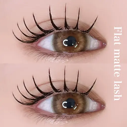 【🩷Flat matte lash『120本』🩷】
