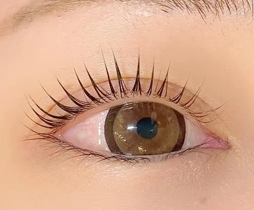 【練習モデル🐣】パリジェンヌラッシュリフト