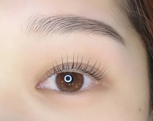 ワックス脱毛＋眉スタイリング✨