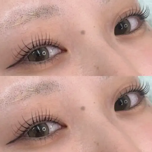 【平日限定クーポン】ラッシュリフト(上まつ毛)📍渋谷、表参道