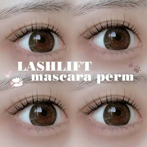 マスカラパーマ(メンズok/ミニモ学割) ⚠️ご予約前に注意事項のご確認お願いいたします