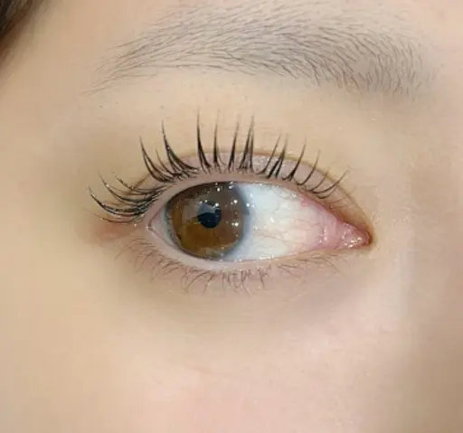 次世代似合わせまつ毛パーマ+美容液コーティング付𓆡𓂃𓂂𓄹