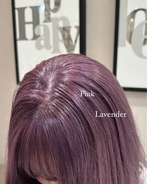 ワンカラー🐈‍⬛🪄︎︎