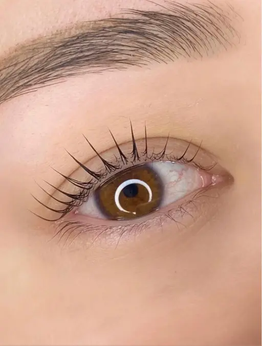 限定🇰🇷《まつパ》『うるうる束間まつ毛パーマ』3ステップトリートメント付♡Google口コミ可能な方