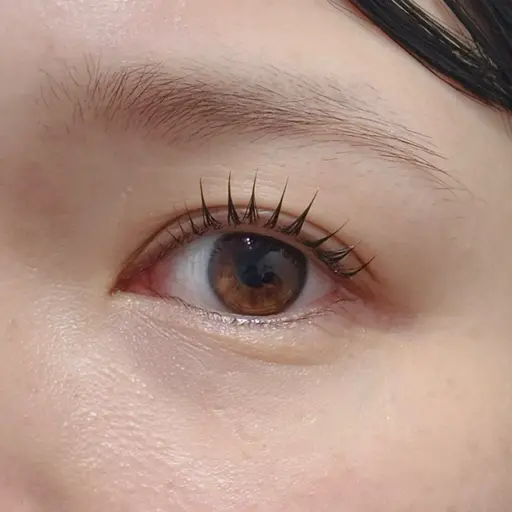 選べるまつげパーマ🫧コーティング付き✨