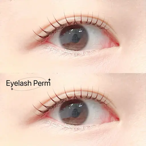 🩷【4/8当日限定】人気No.1❣️まつ毛パーマ➕コーティング🩷