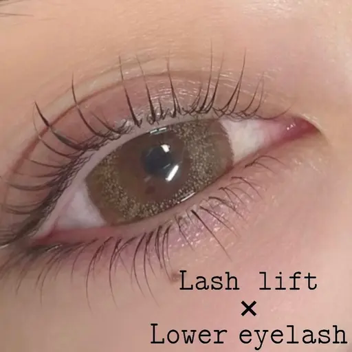 🔸最軽量🔸上下フラットラッシュ 上100本/下30本