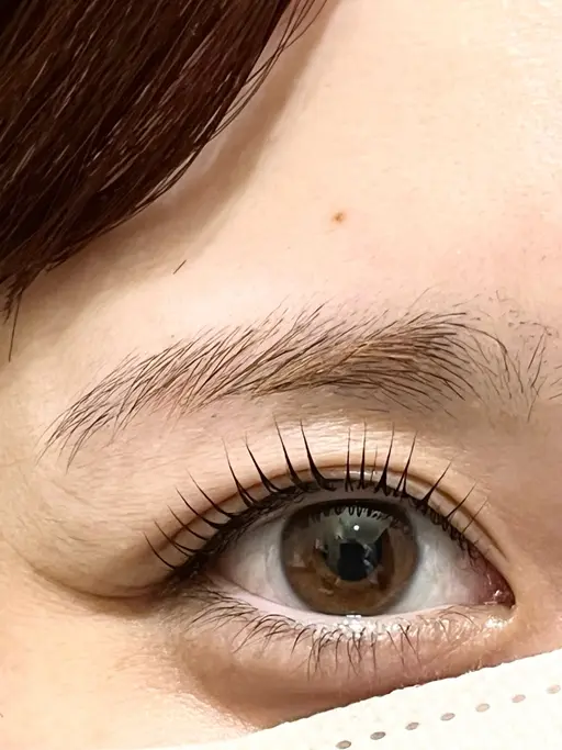 🎀ミニモ限定🎀まつ毛パーマ【上】