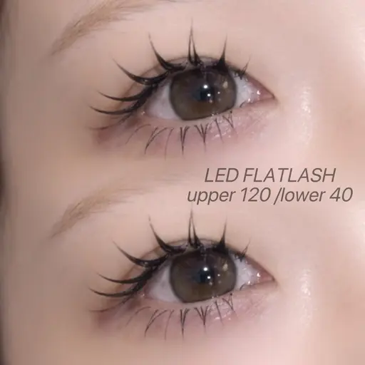 上下LEDフラットラッシュ💘上140本＋下50本              ꒰ 新規10500円/再来11500円꒱