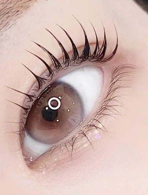 【ご新規さま限定】🫧🦩上まつ毛ラッシュリフトorパリジェンヌラッシュリフト【コーティングトリートメント付き】🦩🫧