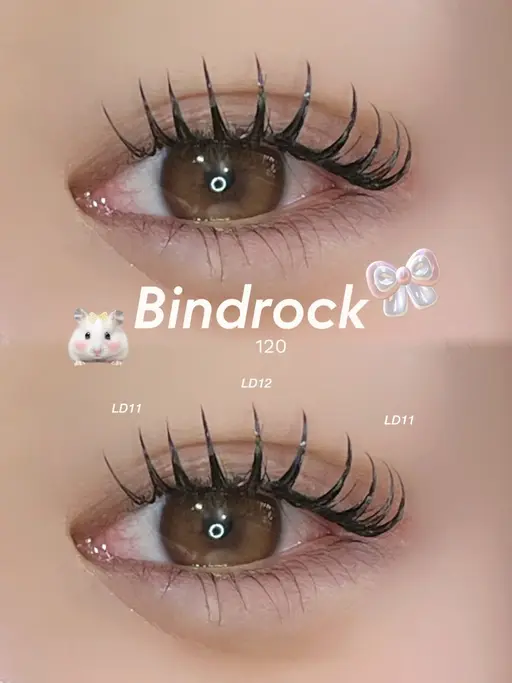 🎀〰︎︎バインドロック【100~120束】〰️モチの良さと濃さが欲しい方にオススメ