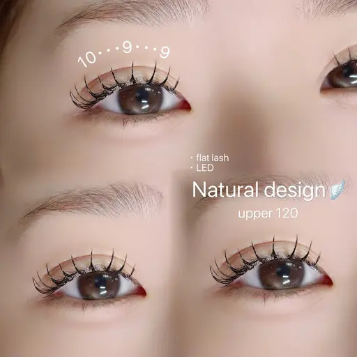 ‼️当日限定‼️【LEDフラットラッシュ🪽】1時間付け放題❗️本数指定不可(100​〜​140目安)