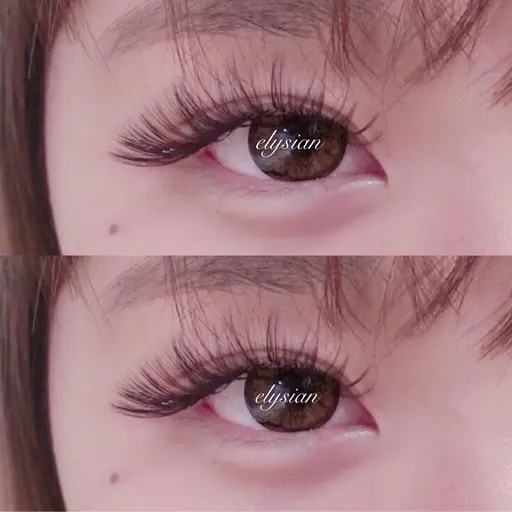 【新規】人気No1❗️ボリュームラッシュ(上) 600 本　オフ込