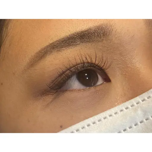 🫧新規様🫧【12月20日、21日限定🦋特別価格🦋】✨フラットラッシュ100本👀✨