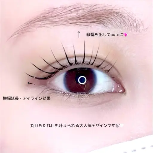 《 12/25まで🧁 》パリジェンヌラッシュorラッシュリフト【 コーティング付き 】《 ご新規様 》