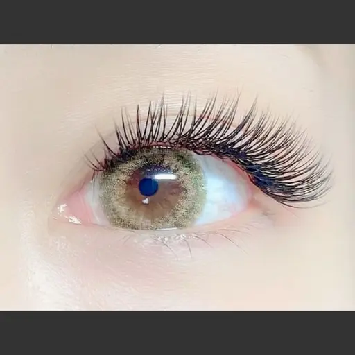 ジェットブラック💫100束