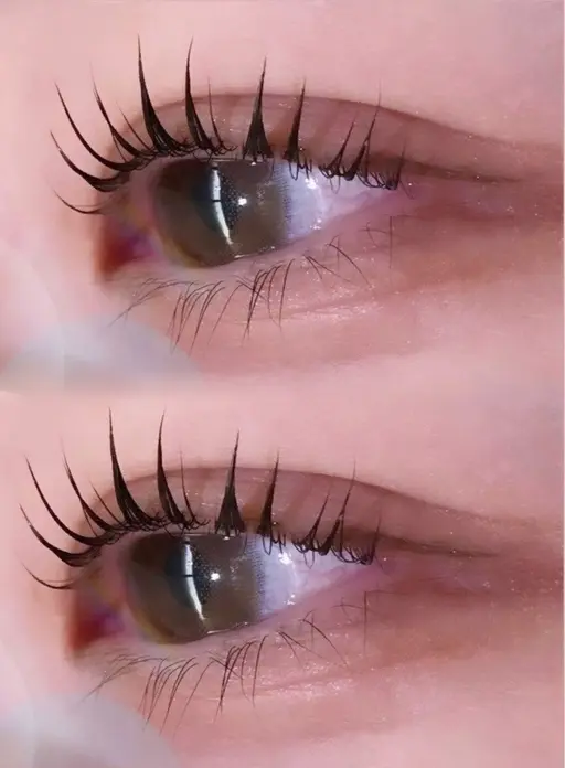 🎀12/1当日限定クーポン🎀パリジェンヌ‎🤍