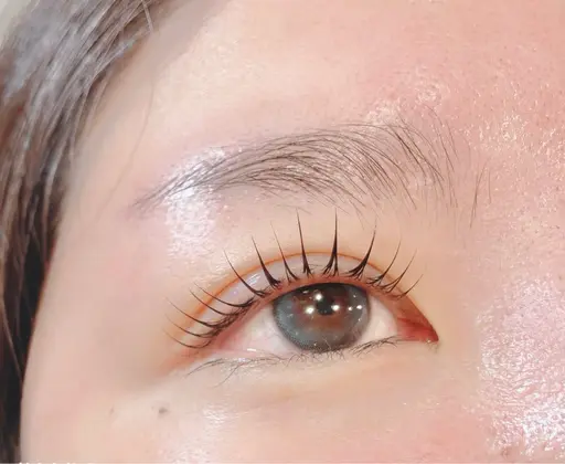 ラッシュリフトモデル 1000円※レッスンモデルである事をご理解いただける方。※現金払いのみレシート出ません