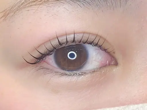 【大人気☆ぱっちりくるん】まつげパーマ＋コーティング