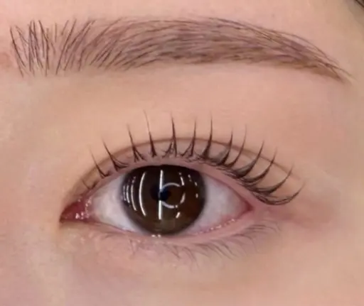 🌟3月18日​〜​31日限定 🌟パリジェンヌorまつ毛パーマ🫧🕊️