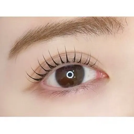 🖤パリジェンヌラッシュリフト🖤オフなし