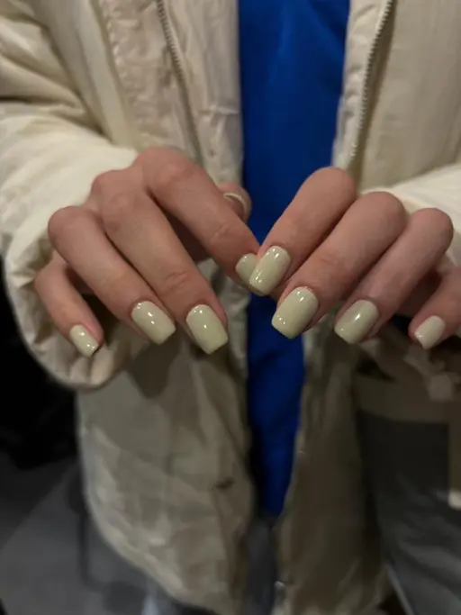 🌿人気color35色限定！！　ワンカラー🌿