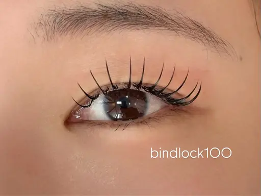 バインドロック120束オフなし