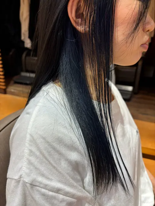 【✨️チラッと可愛い✨️】インナーカラー