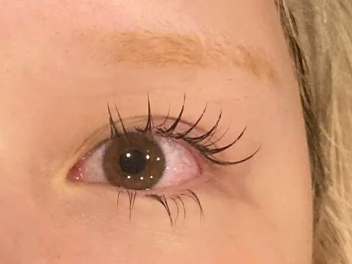 🌟ミニモ限定🌟フラットラッシュ140本🌟上下振り分けも◎