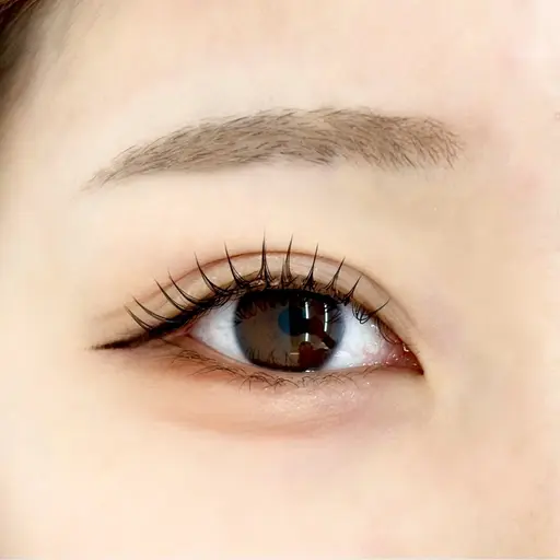 【平日限定30%割引】\まつ毛パーマ+アイブロウwax脱毛/まつ毛コーティング.アイトリートメント.⊹˚₊✩¥5,500