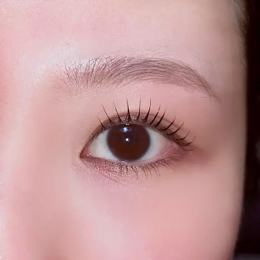 ⋆⸜ご新規様価格⸝⋆ラッシュリフト上(まつパ)+コーティング付✦.*