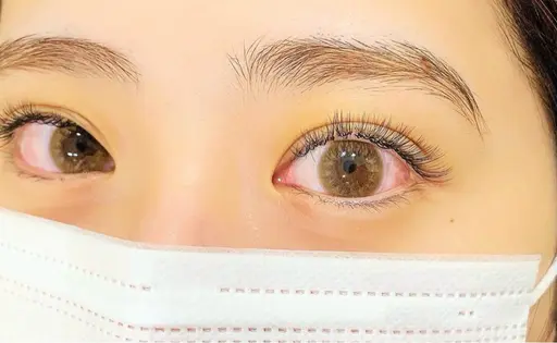 【LEDモデル 27日（土）14:00限定】LEDボリューム300本オフあり（オフ＋1500円）