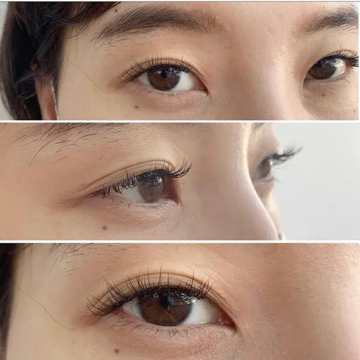 🦎上まつ毛100本まで🦎¥4130(税込)