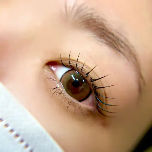 【当日限定】まつげパーマ2500円※オフ別・平日のみ