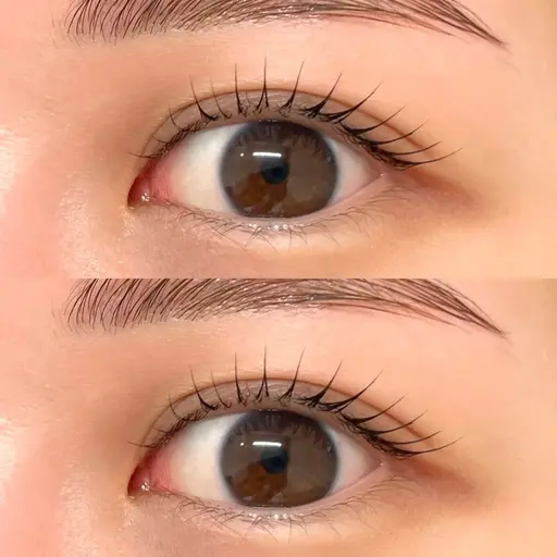 ｟ご新規様⋆土日祝限定｠まつ毛パーマ(上)🌿ケラチントリートメント付き