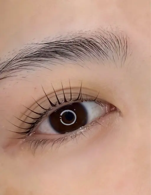 12/23  パリジェンヌラッシュリフト