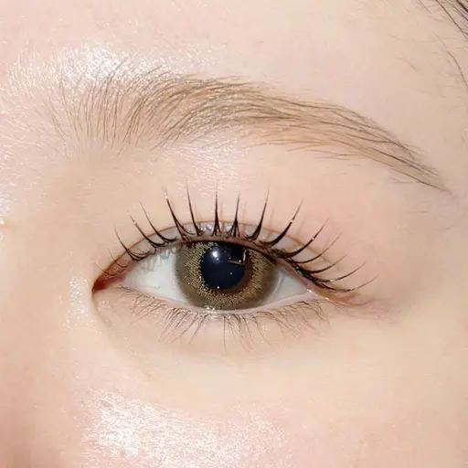 《12/25限定🌱》ぱっちり上向きまつげに🌈✨パリジェンヌorラッシュリフト　4000円