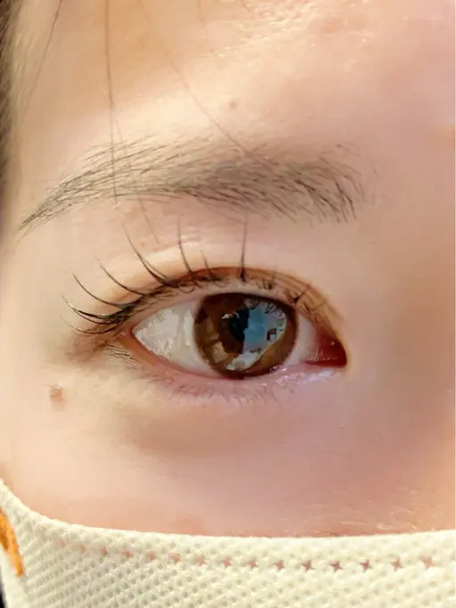 【根元から80°立ち上げ♪まぶたスッキリ】パリジェンヌラッシュリフト