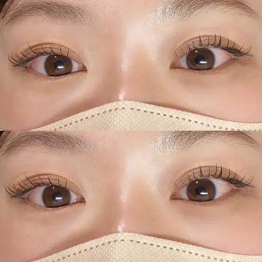 🎗️ご新規様限定🎗️フラットラッシュ80本