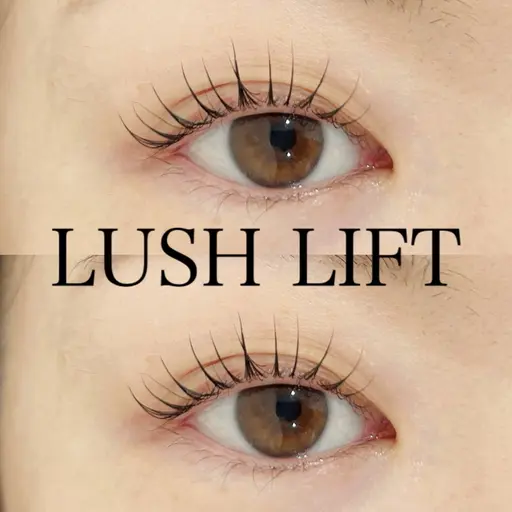 12月限定価格 パリジェンヌorまつ毛パーマ👀♡