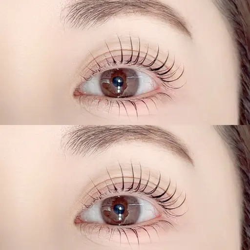 ブラックティント🩶上下まつげパーマ/パリジェンヌ➕550円※エクステのオフの有無をお知らせください(オフ550円)