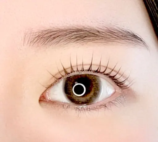 【ミニモ限定新規】ラッシュリフト/まつ毛パーマ