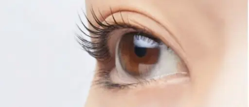 【練習モデル】【まつ毛カールパーマ】3/9～3/13限定※注意※17時以降❎対応していない日は予約不可