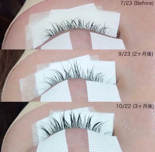 ラッシュアディクトサロンメニュー 3回セット