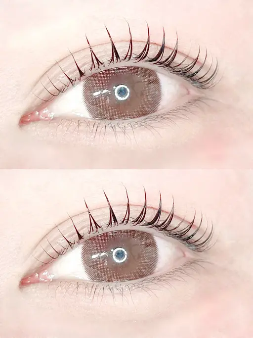 【平日限定💫】次世代ラッシュリフト上+コーティング