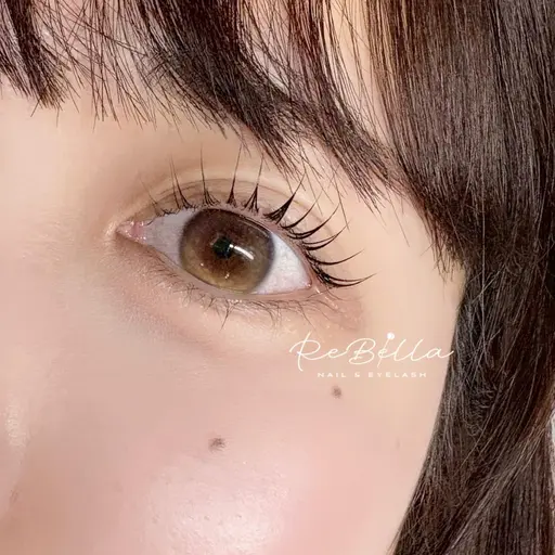 ✨️新規✨️2/11 12:00～16:00限定🎀まつげパーマモデル🎀アイシャンプー付き