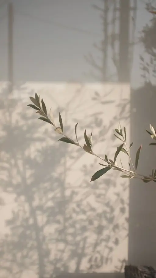 1月6日〜1月31日まで🌷＆Healthy140本🌷