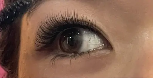 ボリュームラッシュ2D,3D,4D,5D