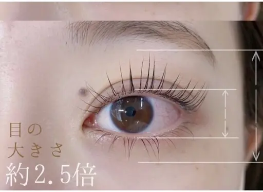 当日限定🌷下まつげパーマ🌷